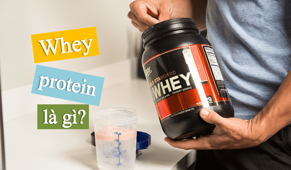 Tổng quan về Whey Protein